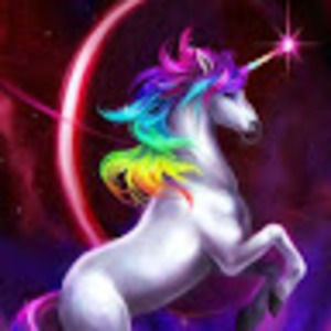 Meet your Posher, Unicorn rainbow